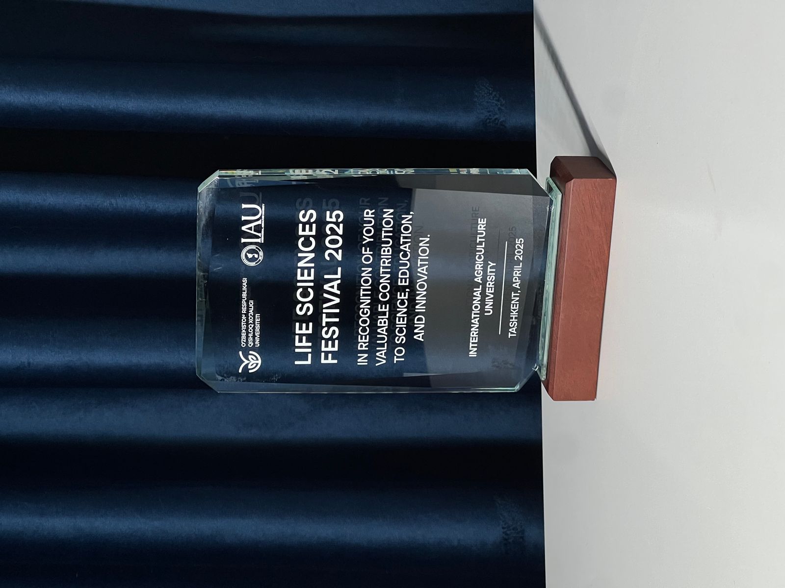 Certificate 13